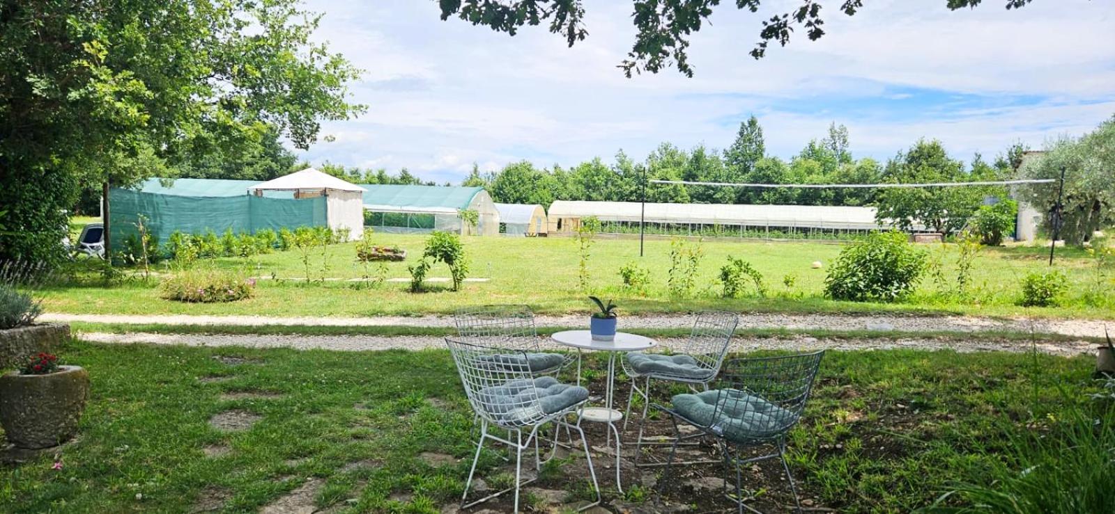 Holiday Apartment Arman Vižinada Екстериор снимка